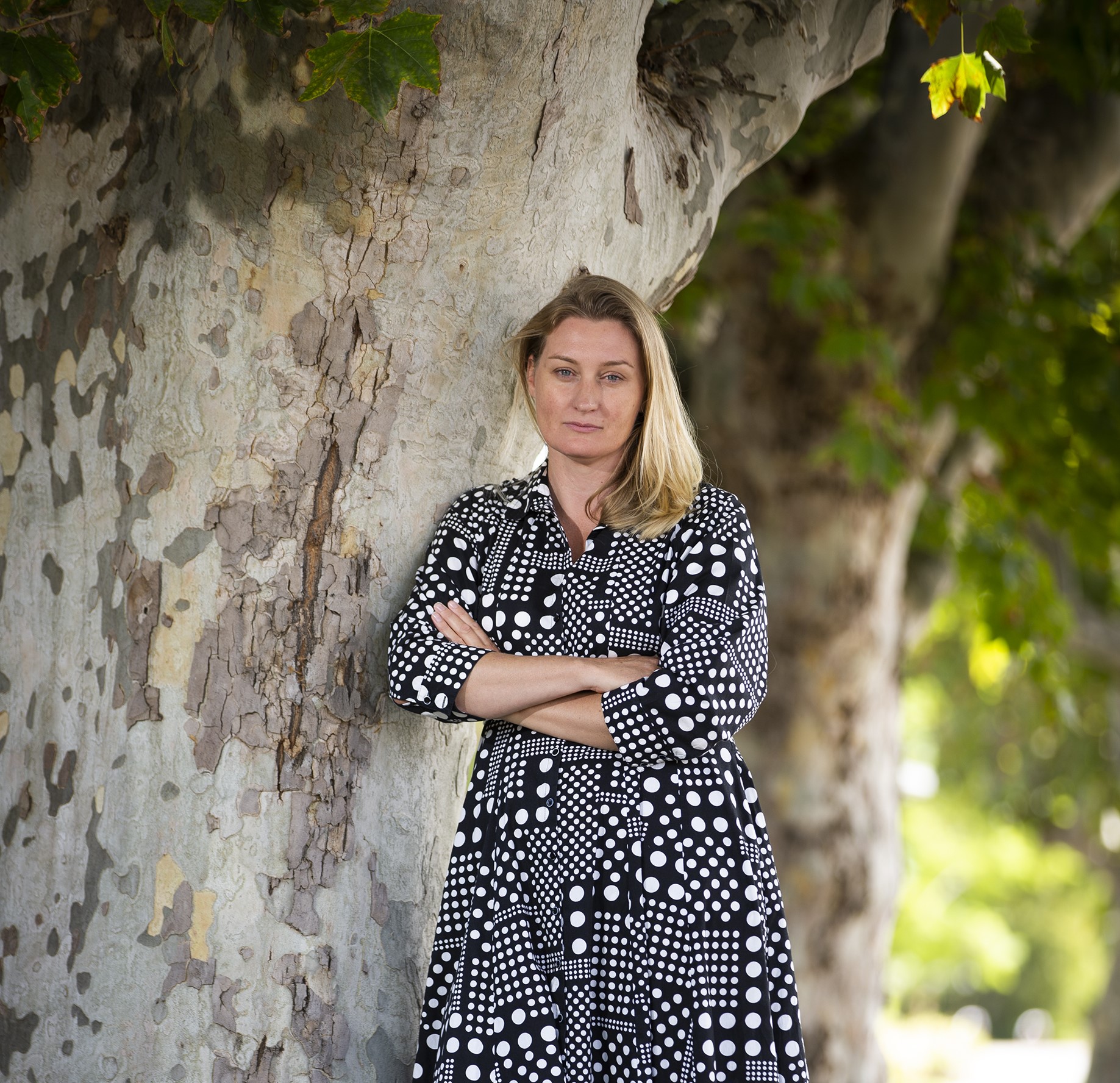 Local Parks Survey Main Image