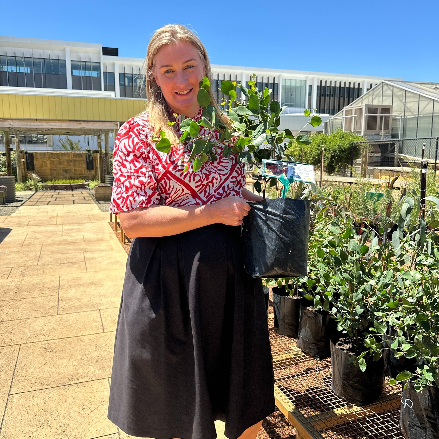 Let's Plant More Trees in Bateman  Main Image