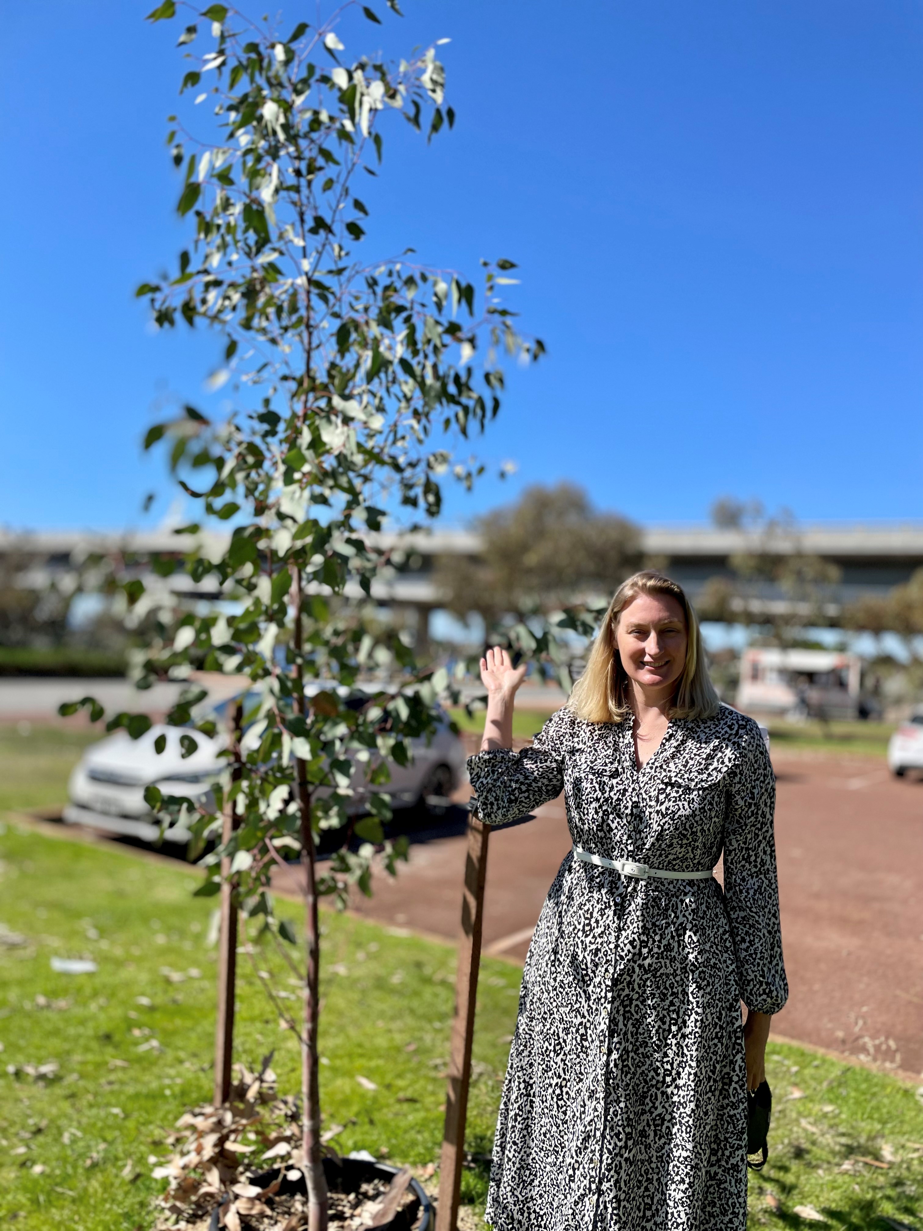 Urban Canopy Grant - City of Melville Main Image